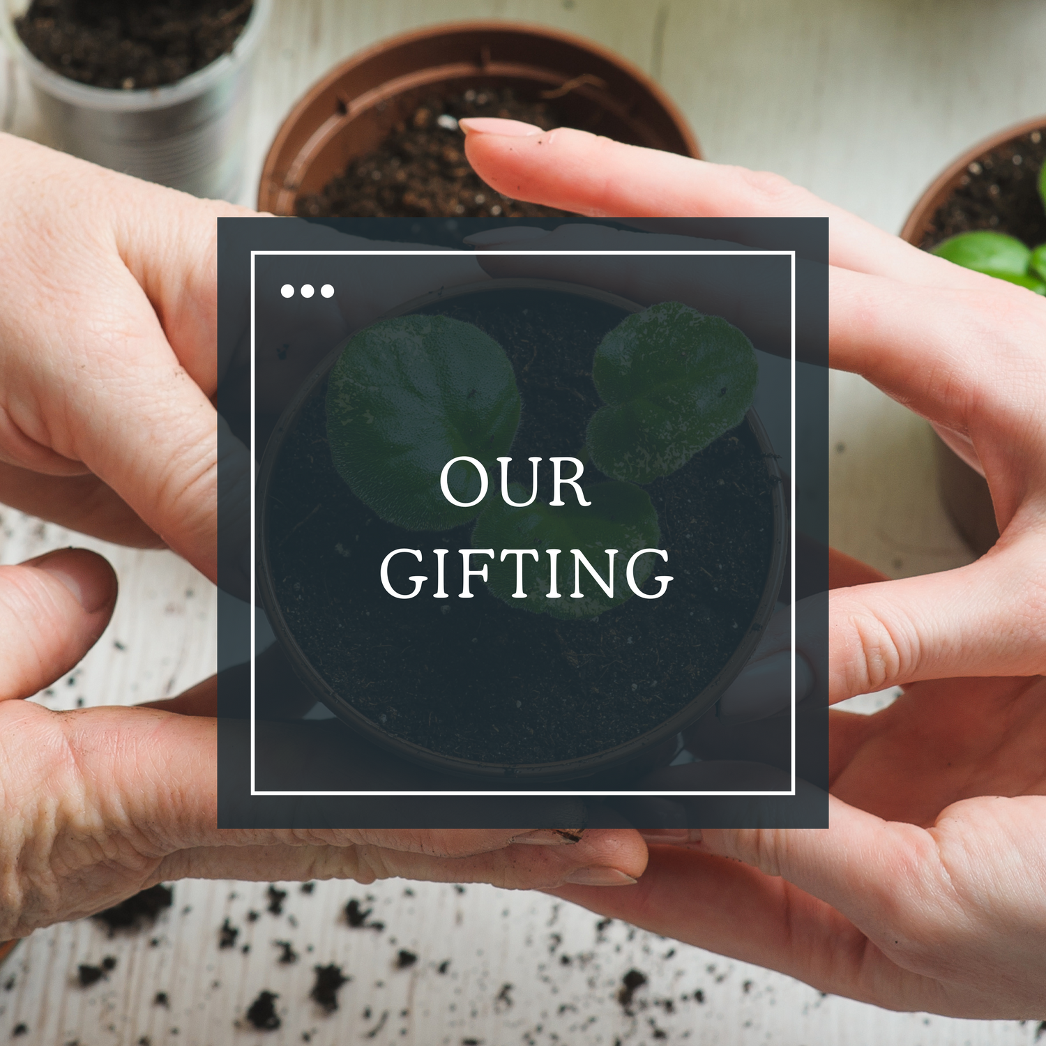 Plant Love Gifting
