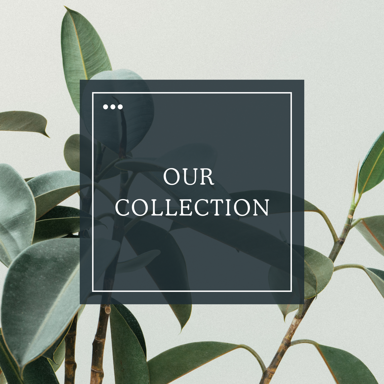 Plant Love Collection